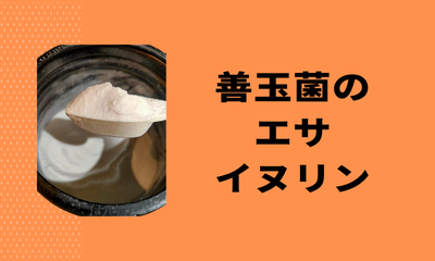 善玉菌のエサ イヌリン