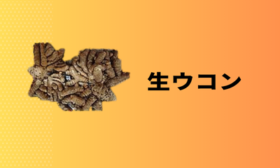 生ウコン